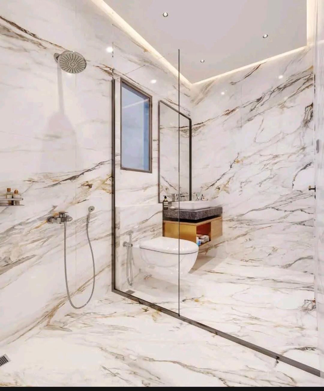3 BHK Apartment in Ambit Primoris Kandivali west Mumbai photo 6